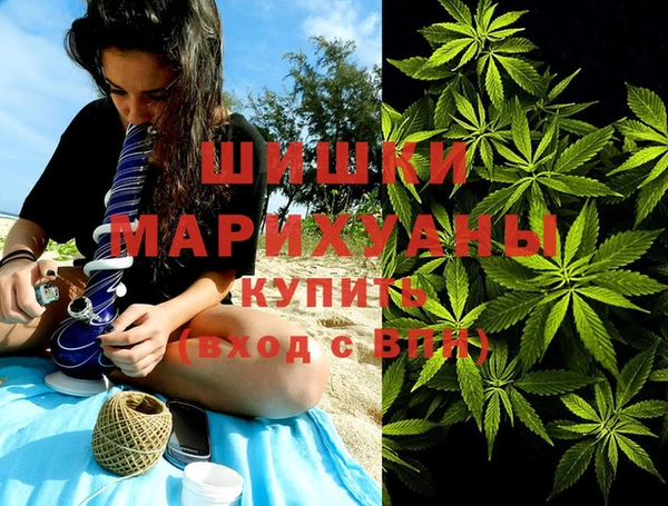 mdpv Белокуриха